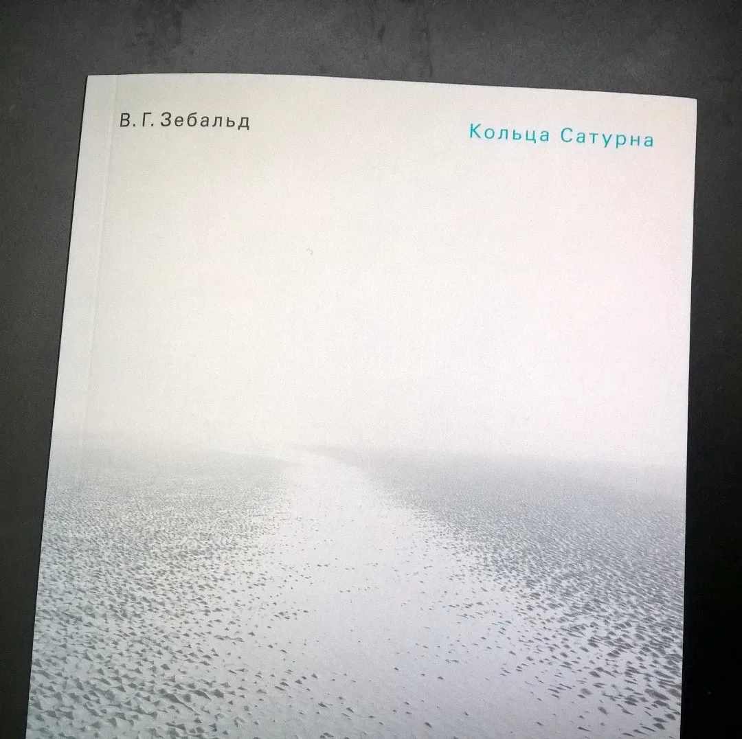 обложка книги кольца сатурна