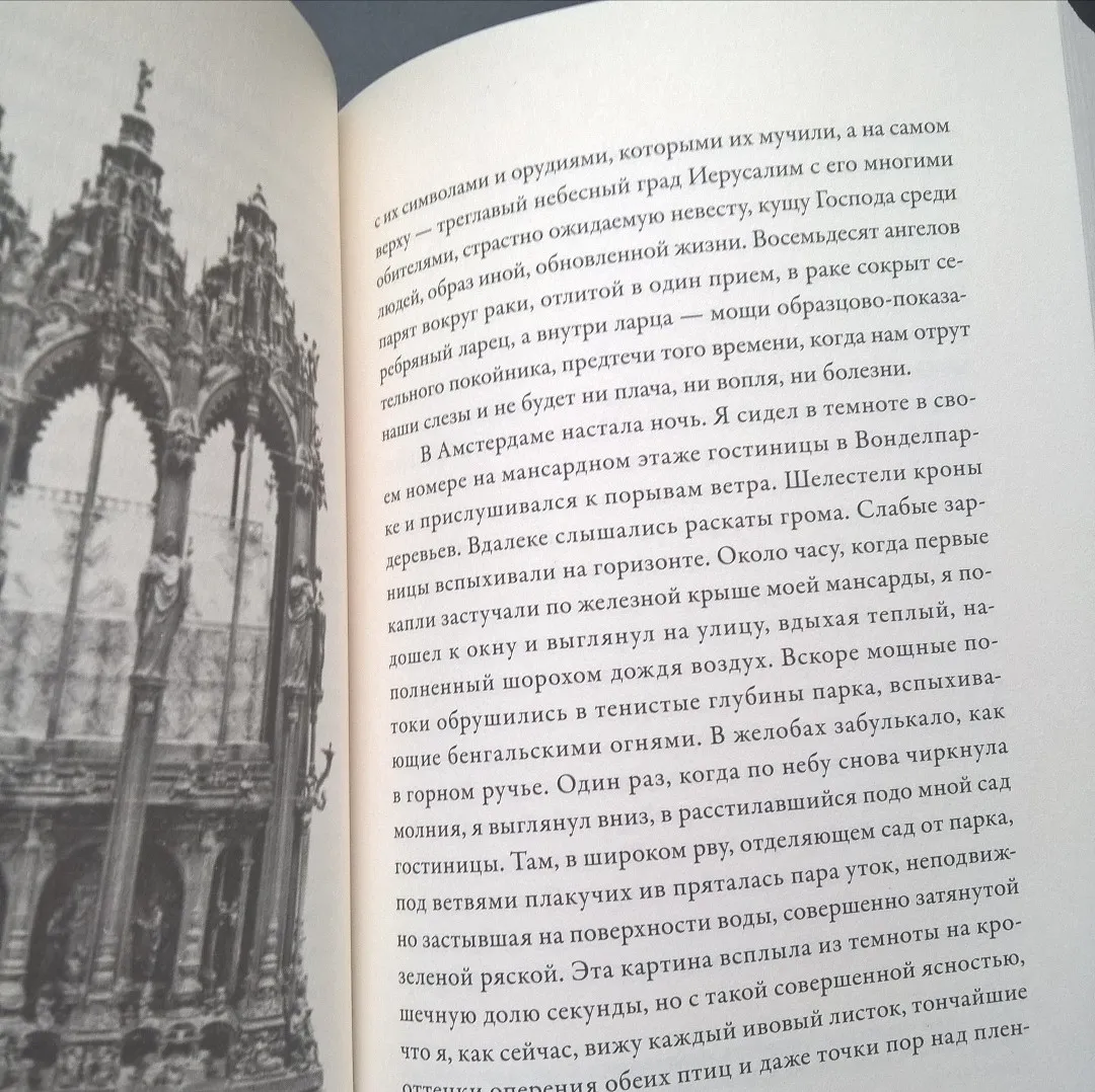 страница книги кольца сатурна