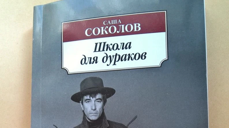 обложка книги школа для дураков