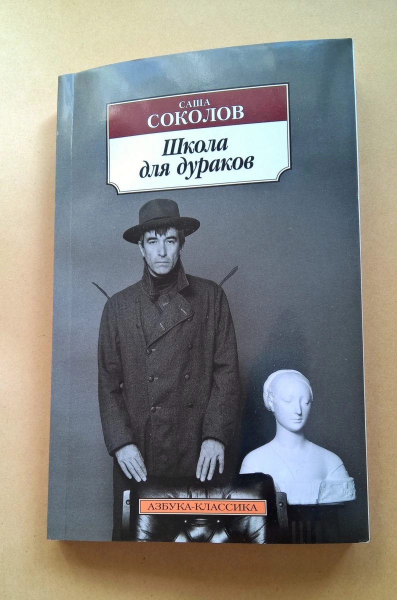 обложка книги школа для дураков